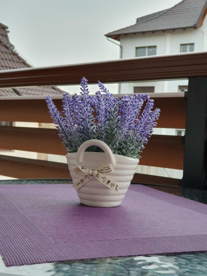 Zlatibor Hills Lara Aparthotel Exterior photo